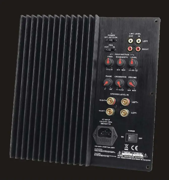 speaker plate amplifier