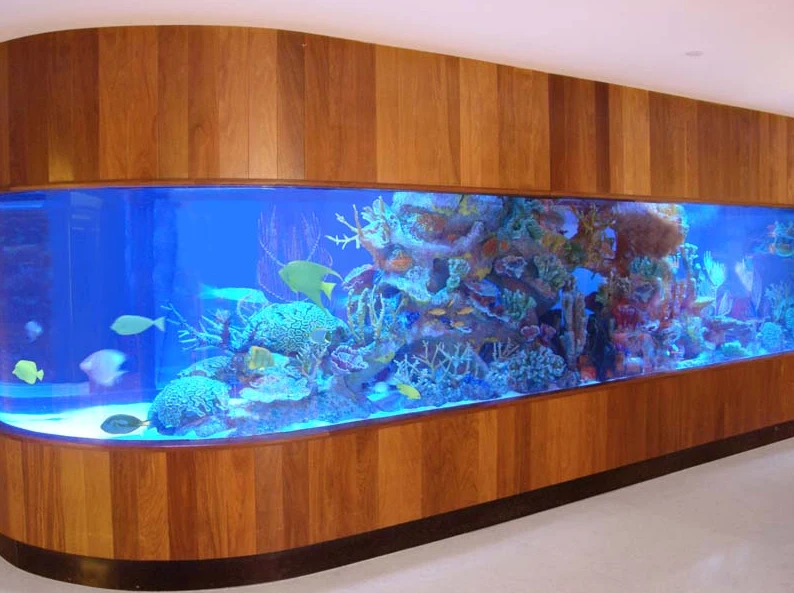 Large Fashionable Acrylic Glass Sheets For Aquariums Buy