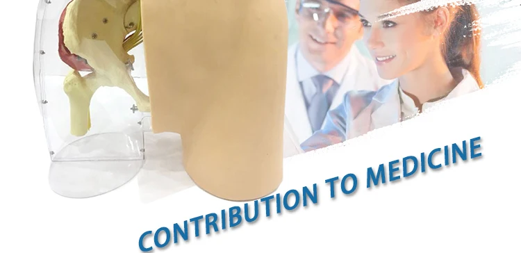 4 Injection model.jpg