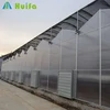 Commercial Polycarbonate Greenhouses Structure with Hydroponic System