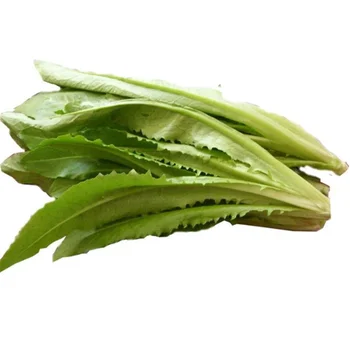 所有行业  农业 植物种子与鳞茎  蔬菜种子查看大图