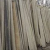 China pao tong Cheap paulownia wood lumber seller and price