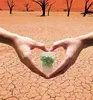 Solid rain KSAP as mini water tanks in agriculture