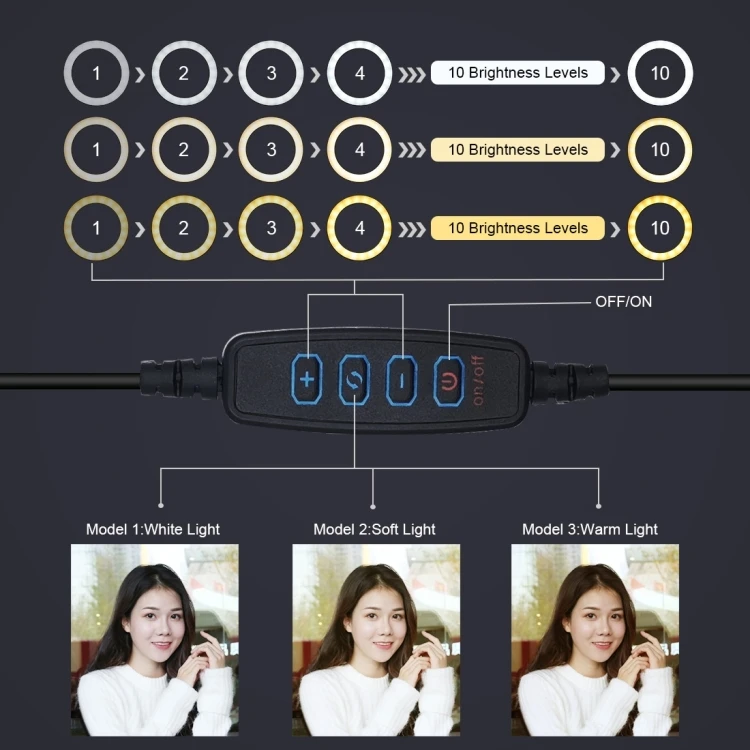 Camera Accessories Tripod Mount 6.2 inch 16cm LED Ring Vlogging Video Light Kits Live Broadcast Dual Phone Bracket