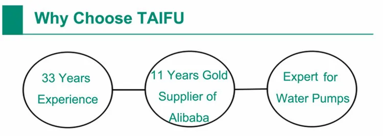 Taifu jet automatic electric irrigation water pump
