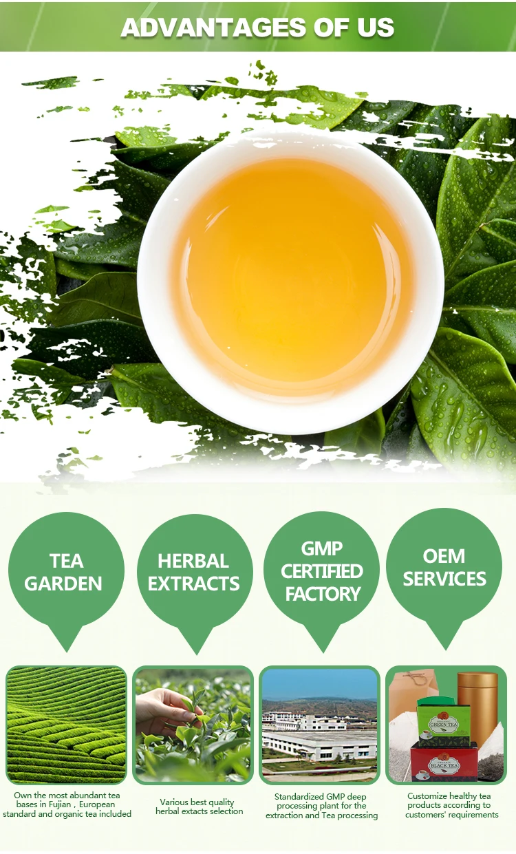 China Organic Ganoderma Reishi Mushroom Extract Green Instant Tea