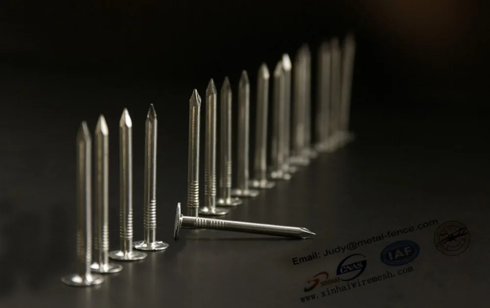 iron nail 1-6/ cheap price iron wire nail /iron nail common