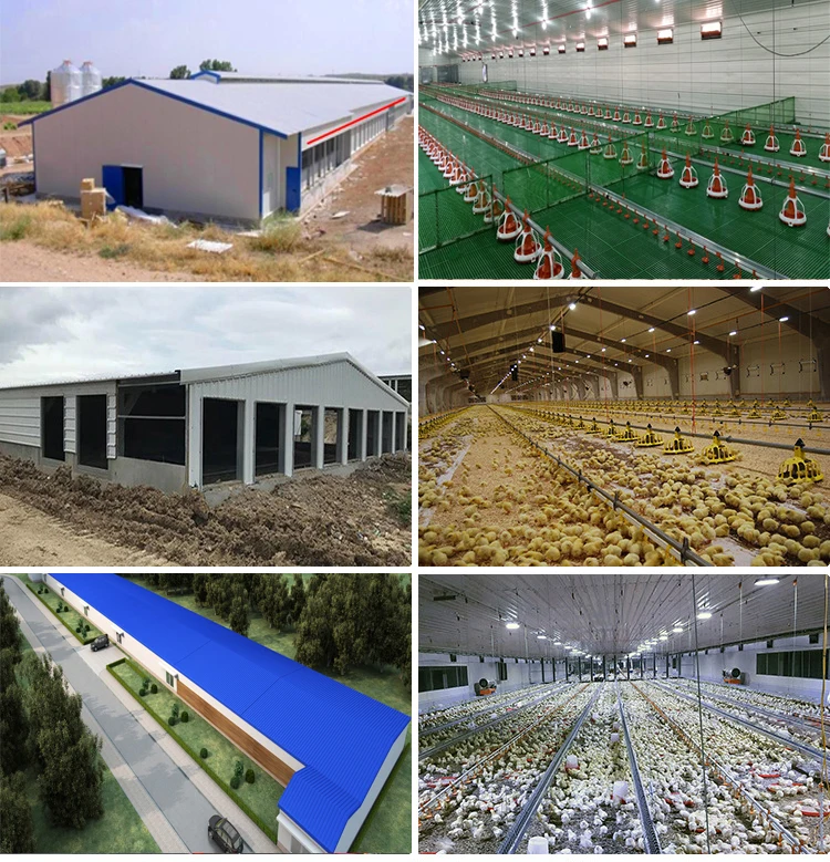 Steel Structure And Sandwich Panel Low Cost Poultry Farm House Design ...