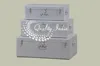 Light Grey Different Shape Storage Trunks
