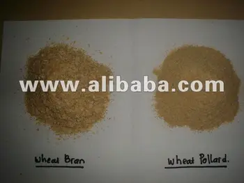 Wheat Pollard - Buy Wheat Pollard For Sale Product on