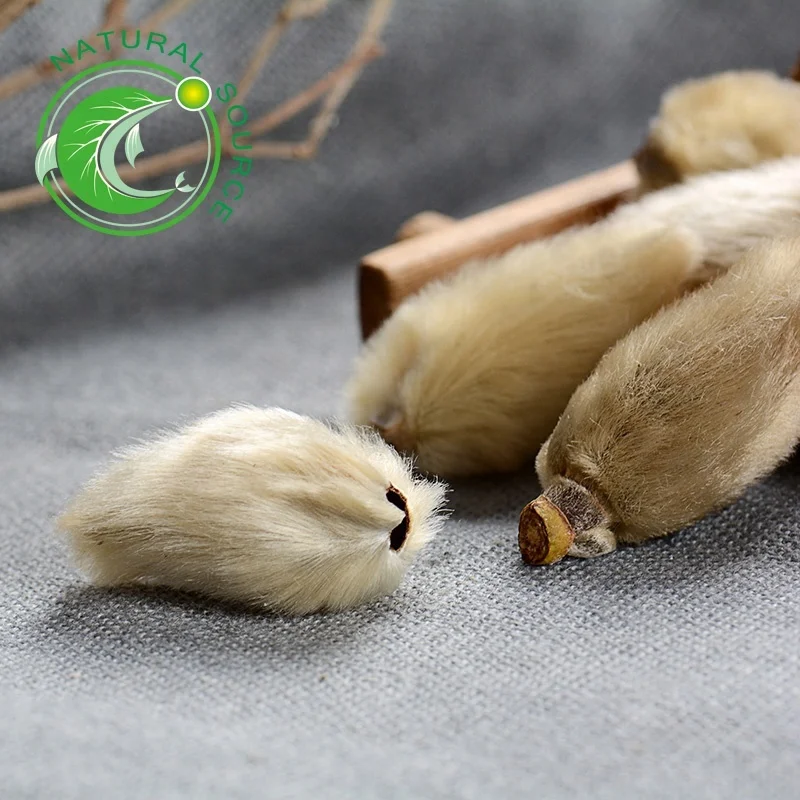 Chinese Traditional Herb flos magnoliae liliflorae Dried Magnolia Flower Bud For Tea - 4uTea | 4uTea.com