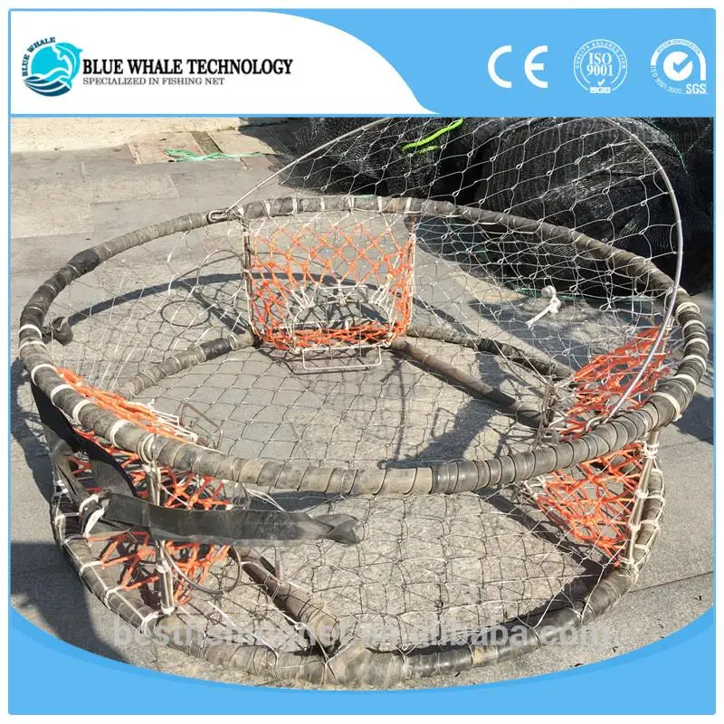 Buy Organic Salmon Portions Frozen Salmon Fillets The