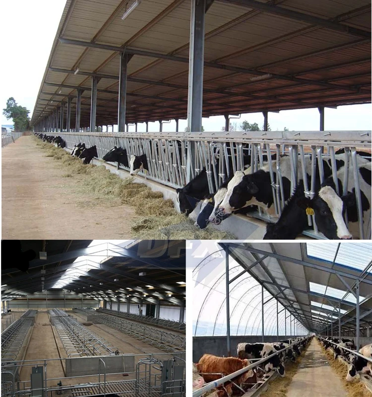 cow shed farm building.jpg