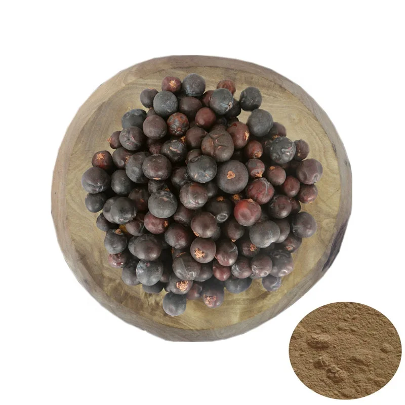 杜松子批发 100% 天然草本杜松浆果提取粉散装