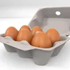 Wasted Paper Pulp Molding Egg Dish Tray Maker Machine Line