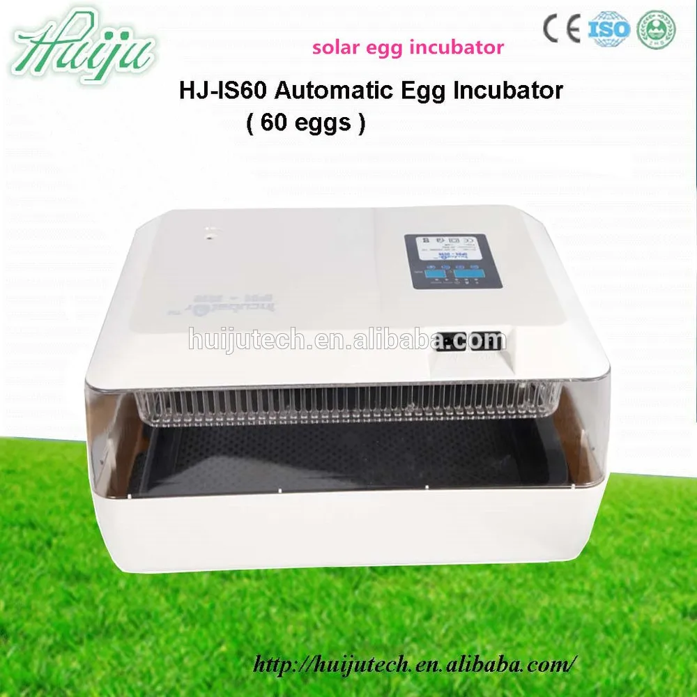 24 egg incubator price in india