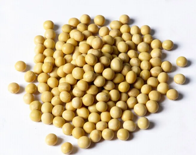 Sold To Malawi Soybean Dehulling Machine Buy Soybean Dehulling