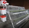 layer chicken raising cage for kenya