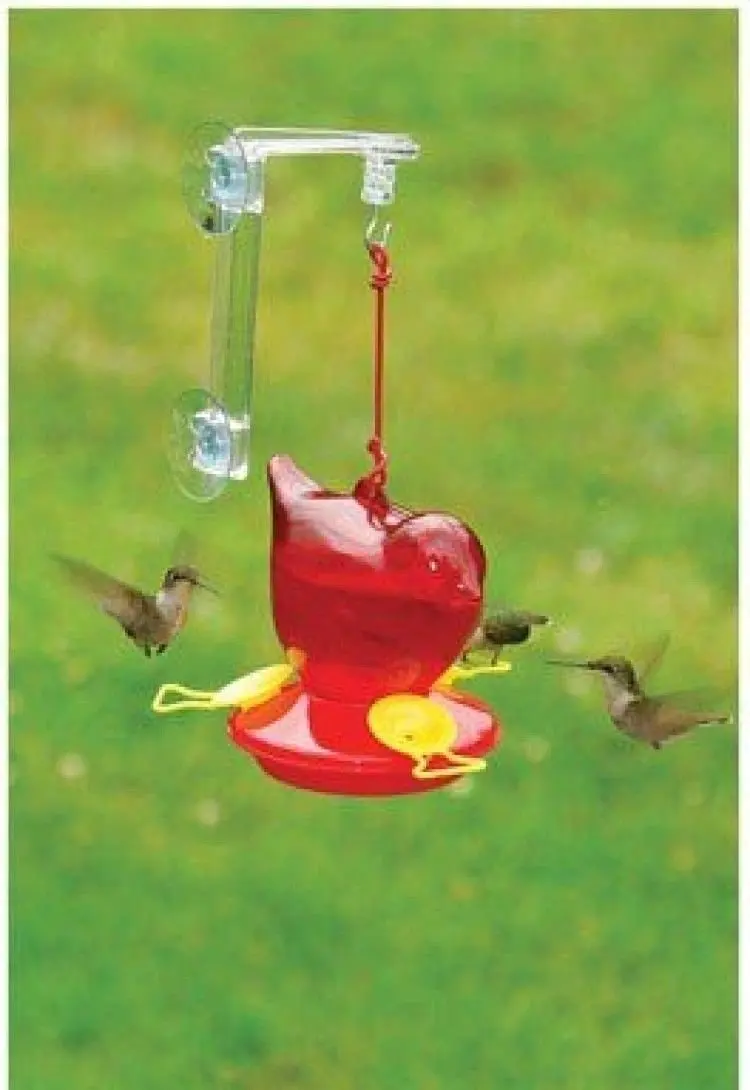 Songbird Essentials Window Red Bird Hummingbird Feeder; Suction Cup; New. 
