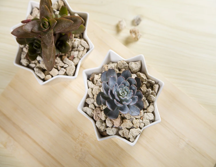 Geometric Design Miniature Indoor Planters