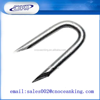 E G Barbed Staples U Shaped Nail Or Type Shape E G Barbed Staples U Shaped Nail Or Type