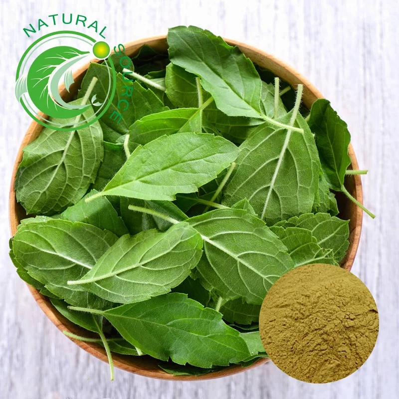 Basil Extract (3).jpg