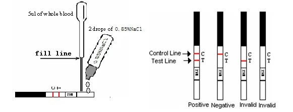 test procedure strip.png