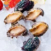 High quality Frozen fresh Abalone in shell fish with Multiple sizes
