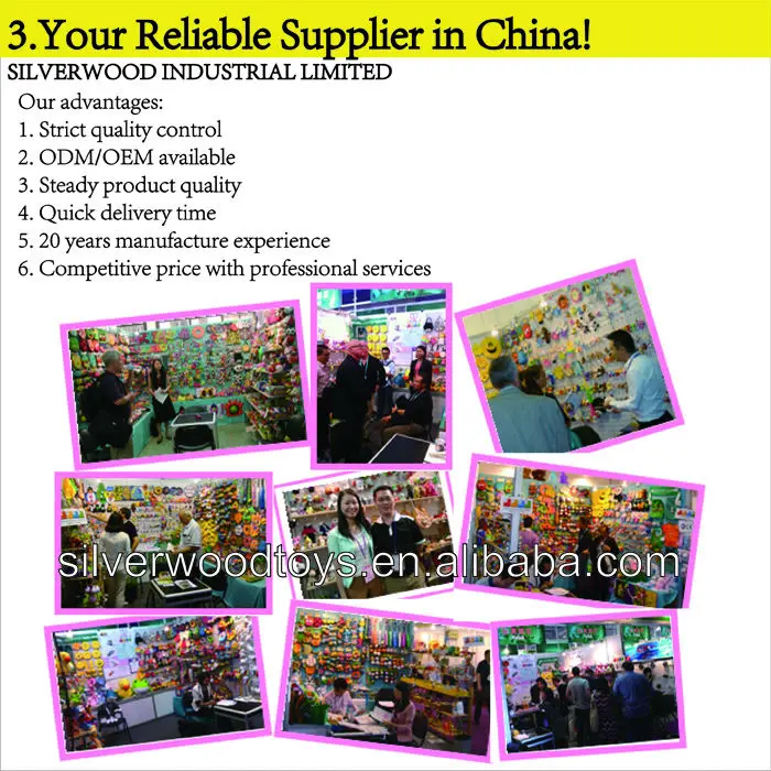 3.company description