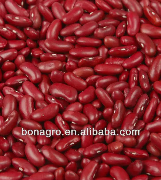 DARK RED KIDNEY BEANS BT-1