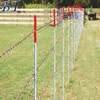 Cheap metal t-post wholesale Hot dipped galvanized studded t post for field fence with high quality foe sale