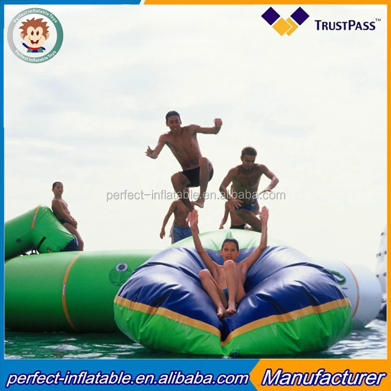 pillow7196