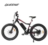 QUEENE/ 7 speed high quality electric bike,Aluminum frame 1000w 48V electric bicycle,26 inch electric cycle e bike