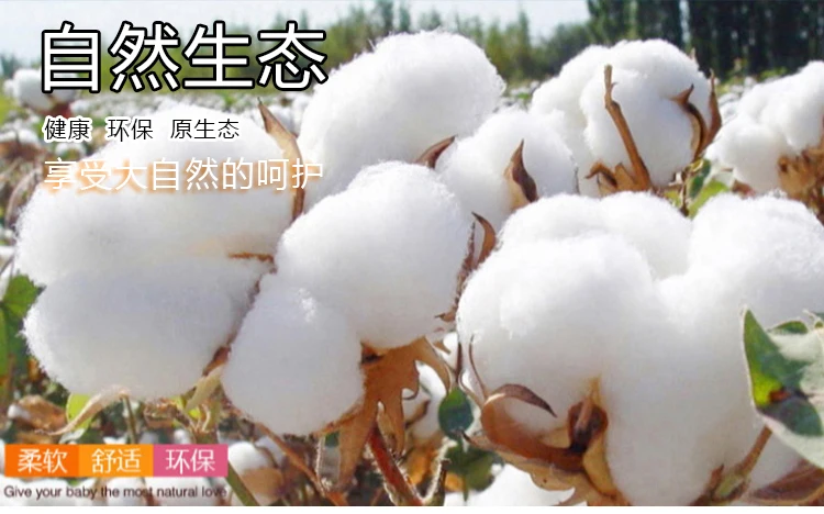 production equipment socks 