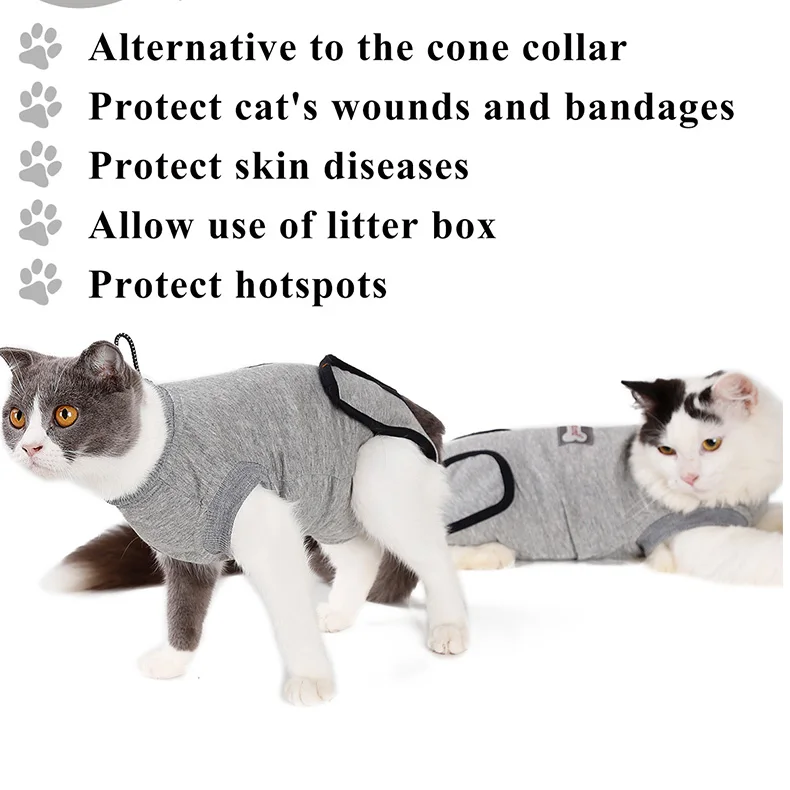 cat after surgery shirt