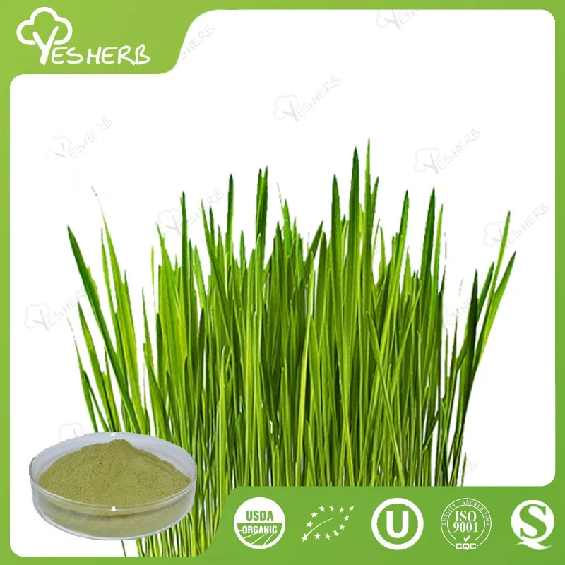 100 Natural Superfoods Barley Grass Juice Powder Young Barley Leaves