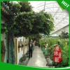 direct manufacterer artifical banyan flower tree/artificial outdoor decoration tree for new store open decoration
