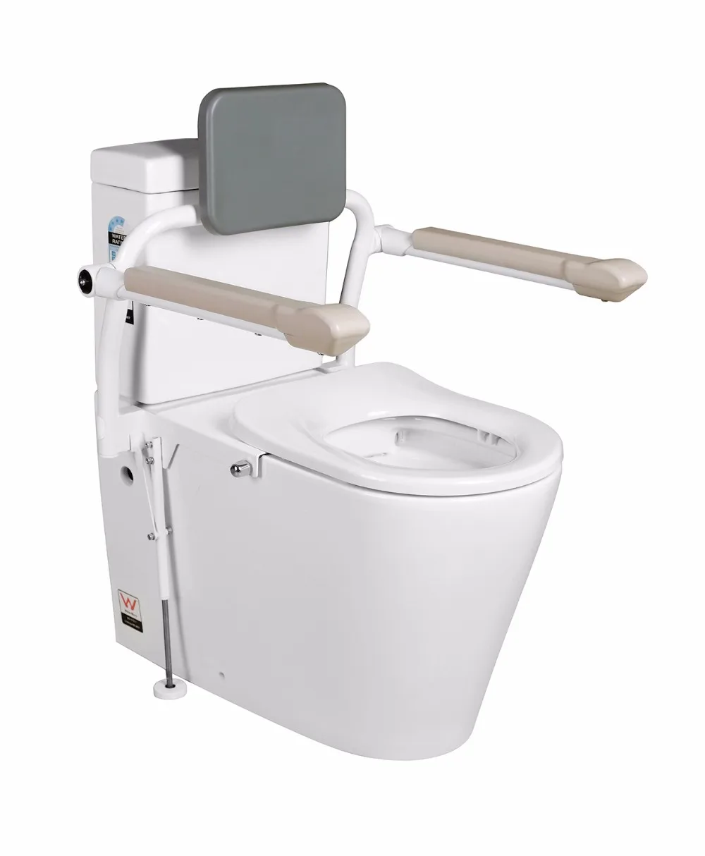 TwoPC Care Toilet Suite Accessible Disabled Toilet Suite for the