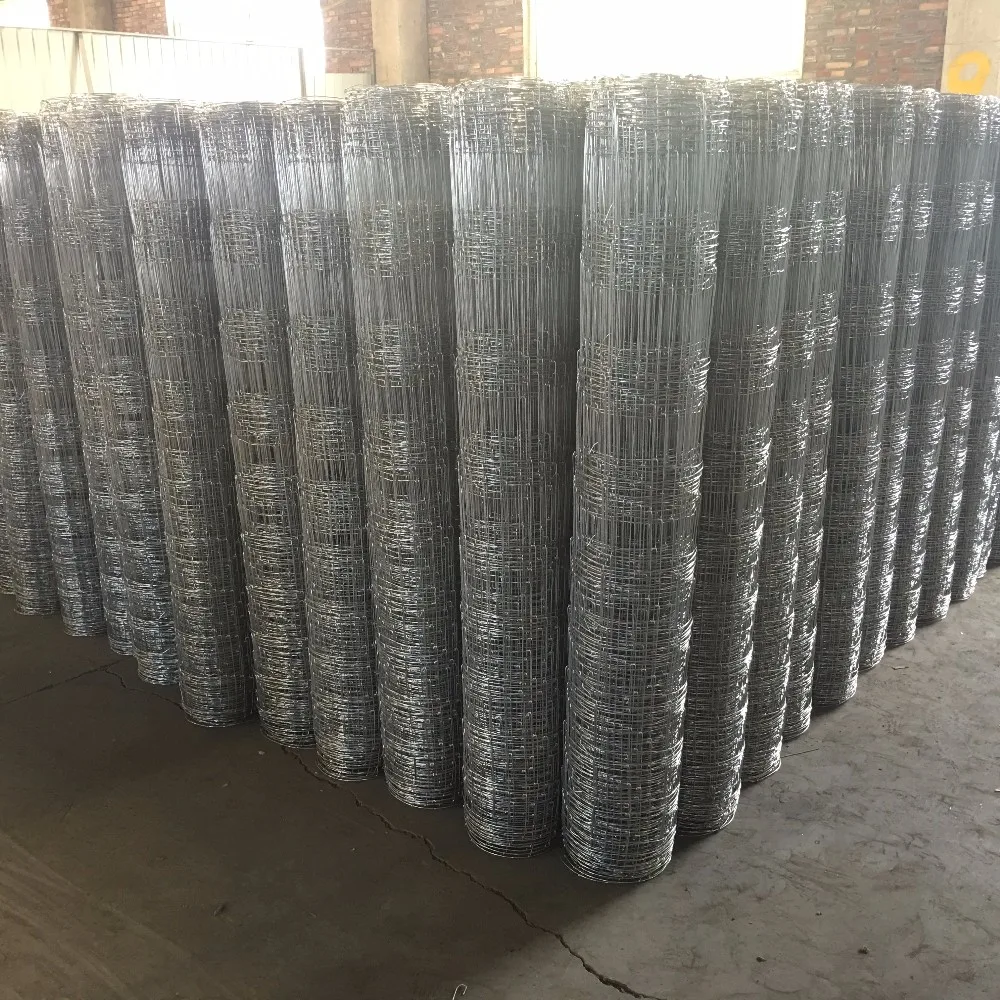 Wholesale Hot Dipped Galvanized Welded Wire Mesh Roll For Cattle Fence Buy Galvanized Wire
