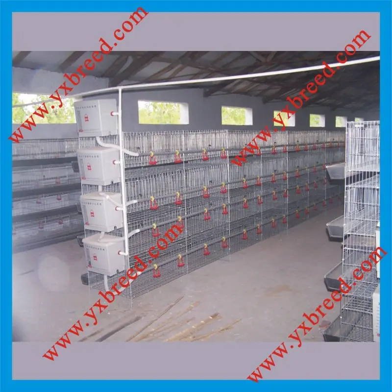 made in china quality chick broiler cages