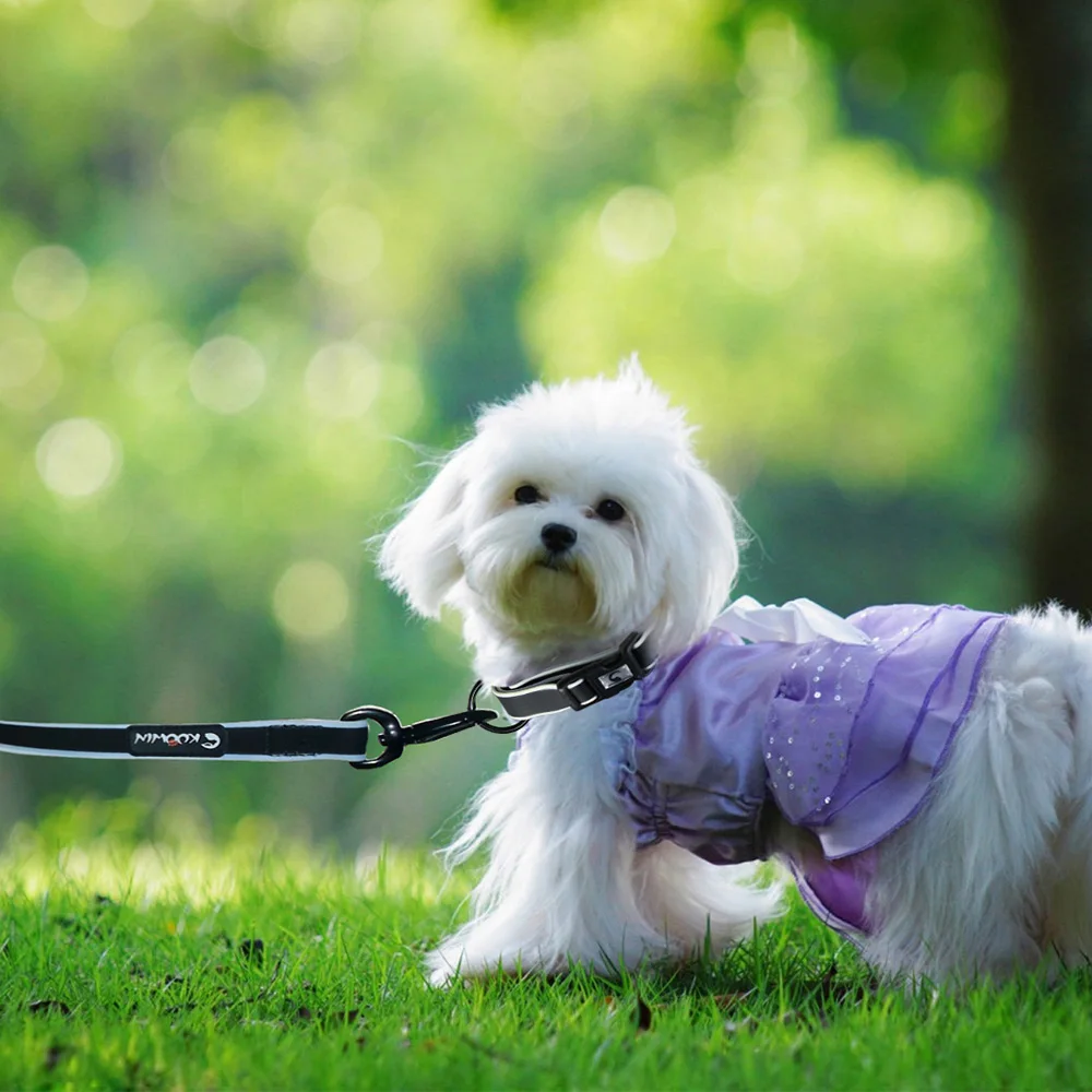 Pet simple. Pet Accessories. Баннер одежда для животных. Dog Accessories. Pet Dog.