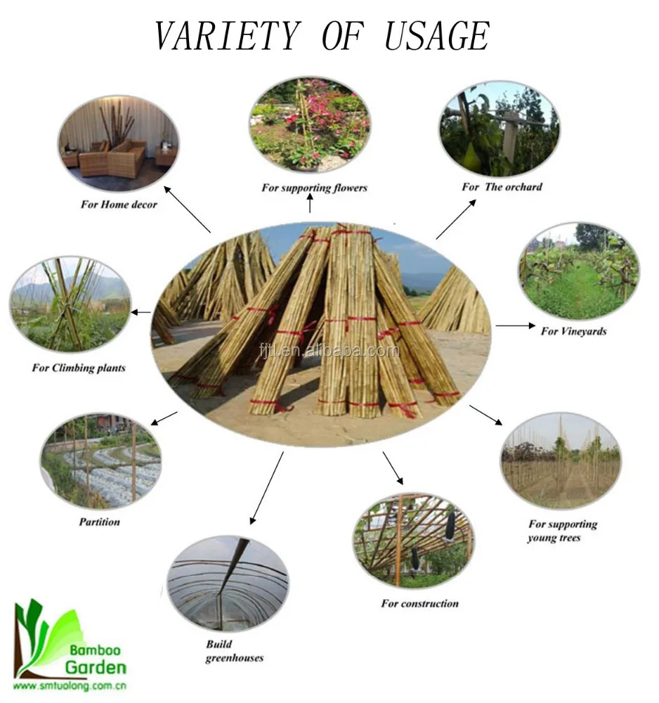 Usage of bamboo pole bamboo cans bamboo stick