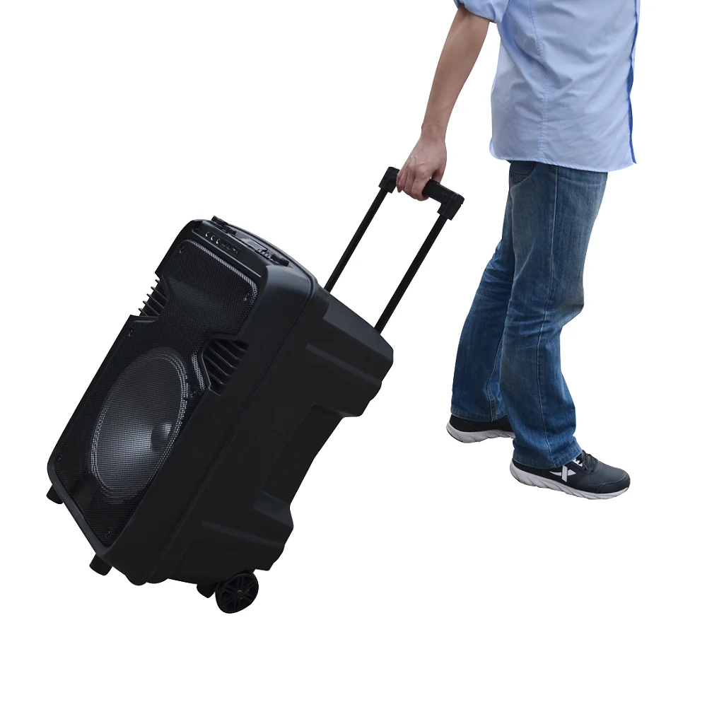 High Quality Rechargeable Trolley Speaker With Usb Port/sd/fm/bt - Buy Mini Speakers With Fm Sd 