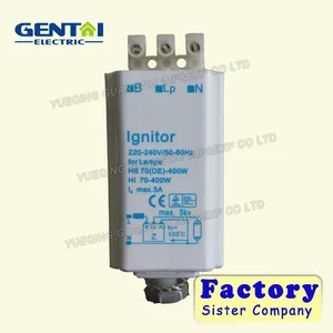 meaning of ignitor