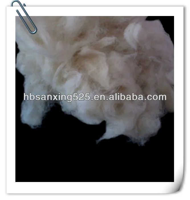 2014-03-21 15.55.24_.jpg