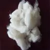 Scoured white wool waste