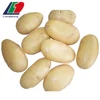 Authenticated GAP fresh Table Potatoes Specifications Export To All Countries, potato specifications