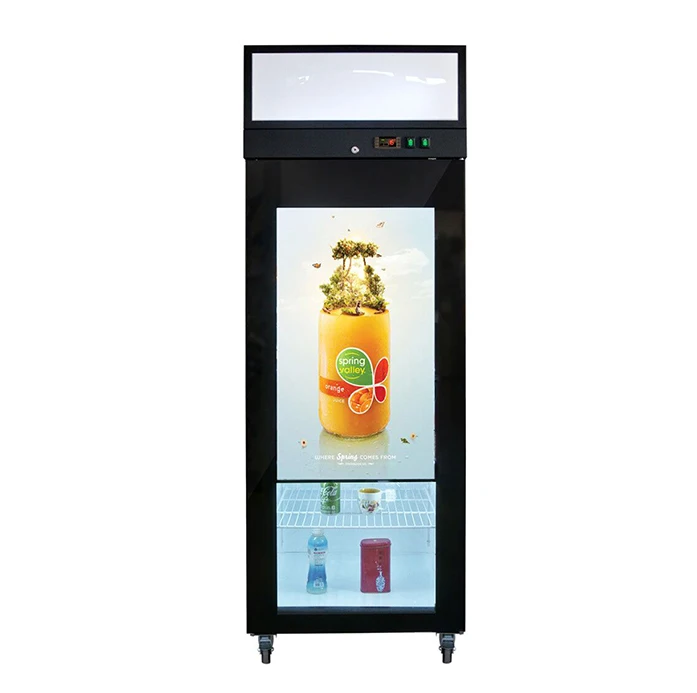 mini freezer glass door