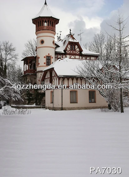 High Quality Custom Made-In-China Digital Scenic Photo Studio Backdrops For Wedding-Luxury Castle