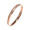 wholesale stainless steel bangle bracelet with CNC stones setting in bangles jewelry